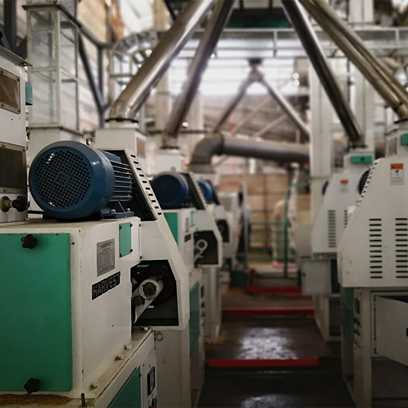 LBHX10 Pneumatic Automatic Rubber Roller Husker 11